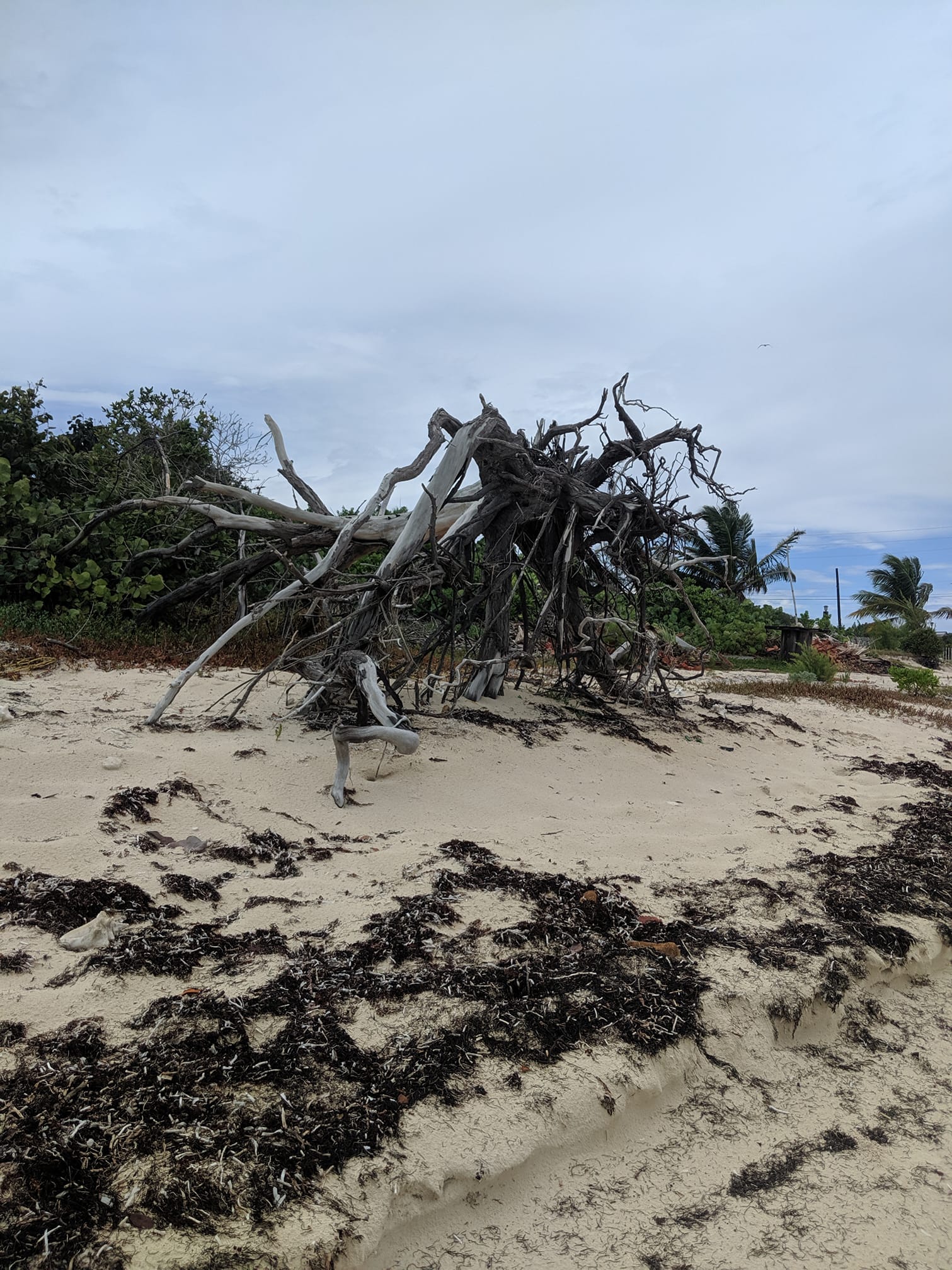 72305554_10156190549251090_7928122067747078144_n